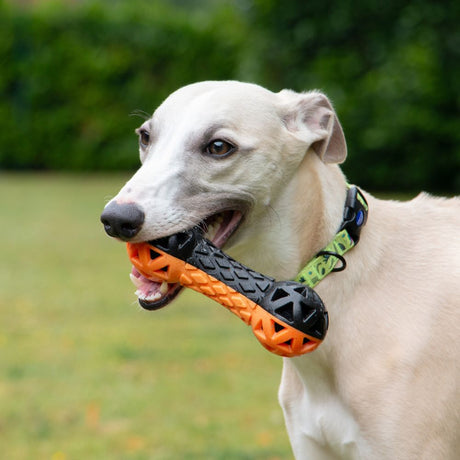 Ancol Extreme Floating Dumbell Dog Toy