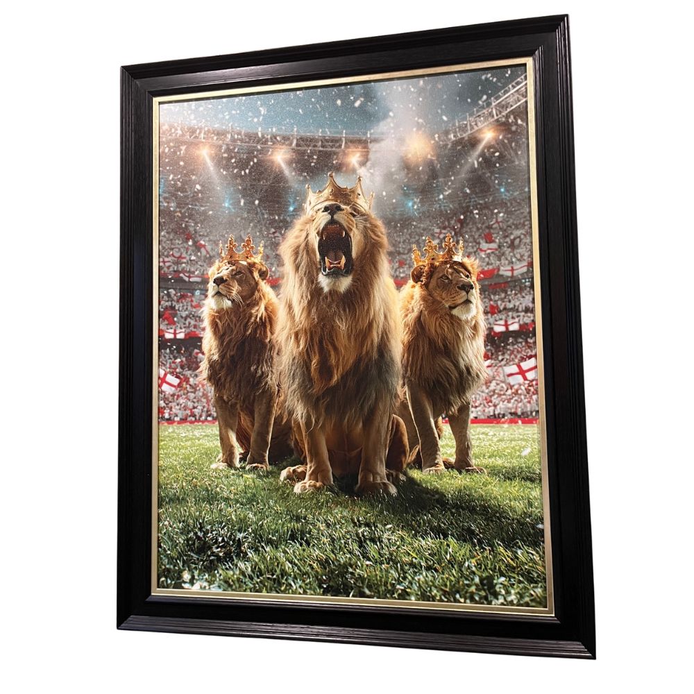 Artko 90cm Kings of the Pitch Framed Print
