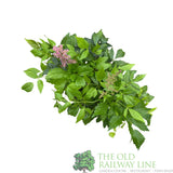 Astilbe 'Fanal' Plant - 3Ltr Pot