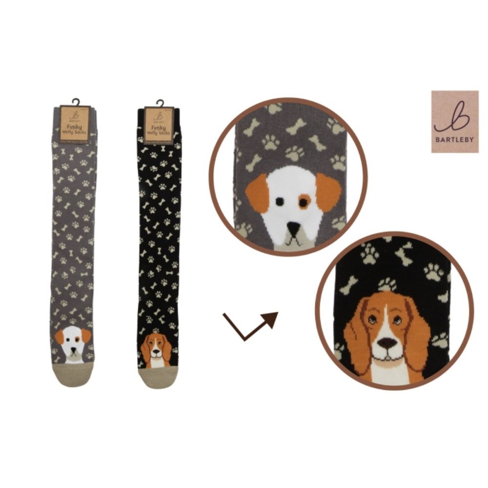 Bartleby Playful Puppies Funky Welly Socks - (Choice of 2) - 4/8