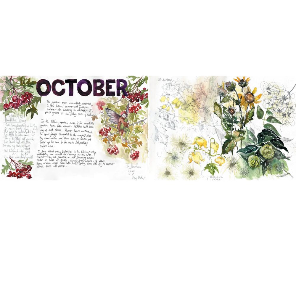 Brush with the Borders, A: An Artist’s Year Kathryn Moore