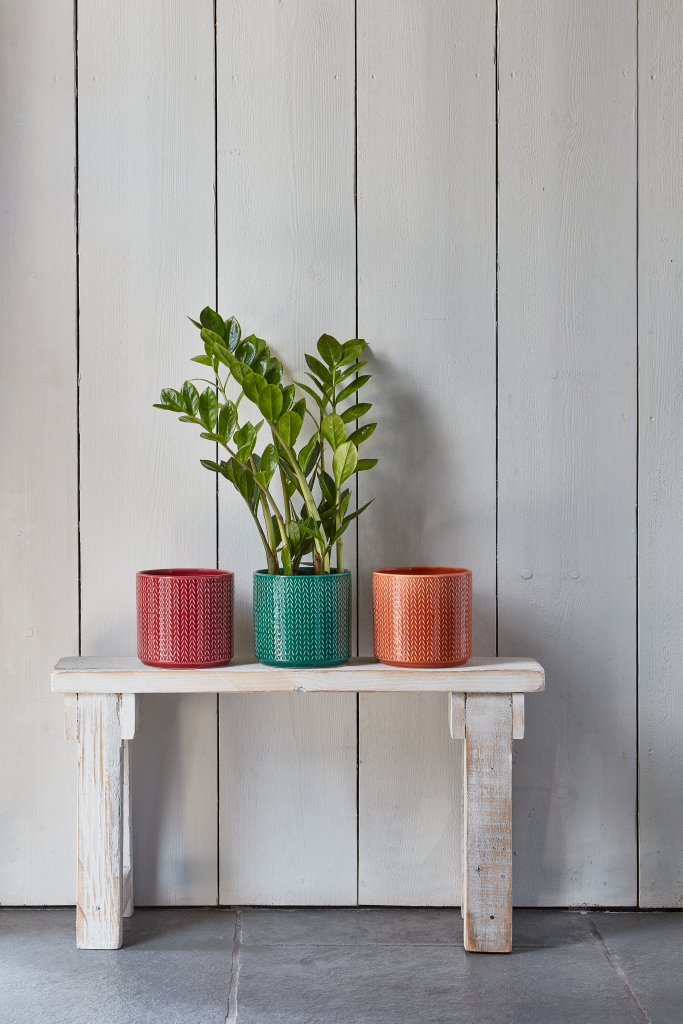 Ivyline 19cm Ruby Chevron Indoor Pot