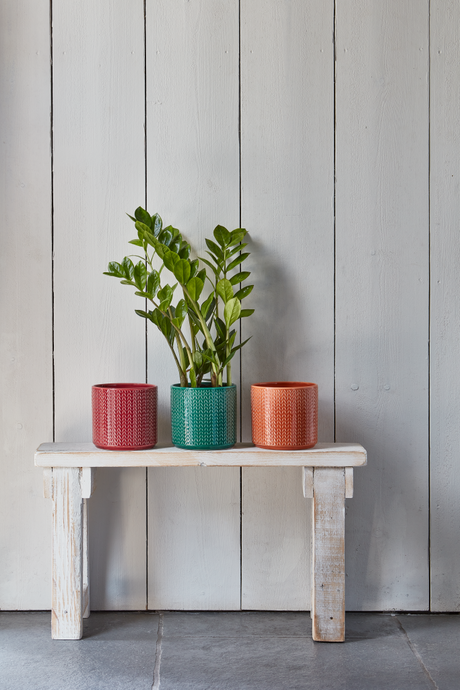 Ivyline 19cm Ruby Chevron Indoor Pot