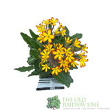 Primula vulgaris 'Oakleaf Yellow Picotee' Plant 1.5Ltr Pot