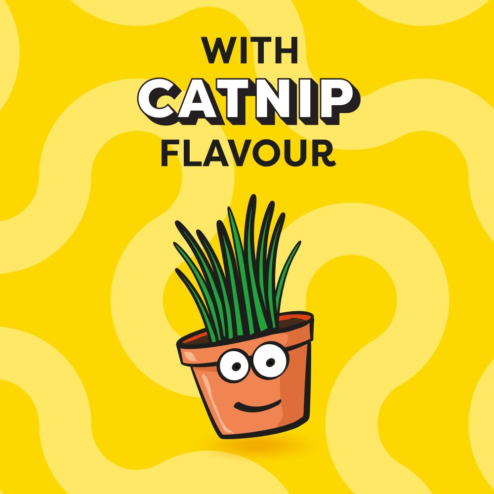 Dreamies 40g Creamy Adult Cat & Kitten Treats