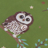 Eco Chic Lightweight Foldable Lunch Bag Tawny Owl - Green