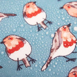 Eco Chic Lightweight Foldable Reusable Shopping Bag Robins - Teal
