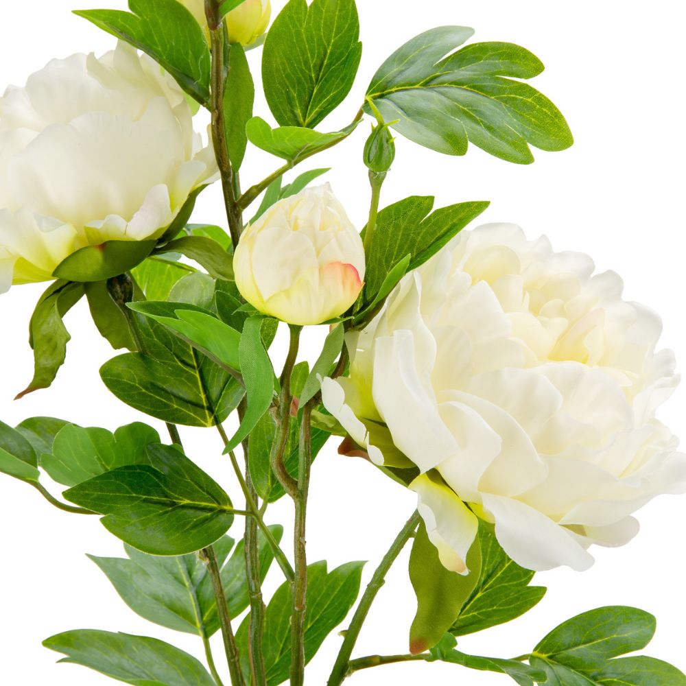 Eleganza Artificial 90cm Peony Spray with 5 Heads- Cream