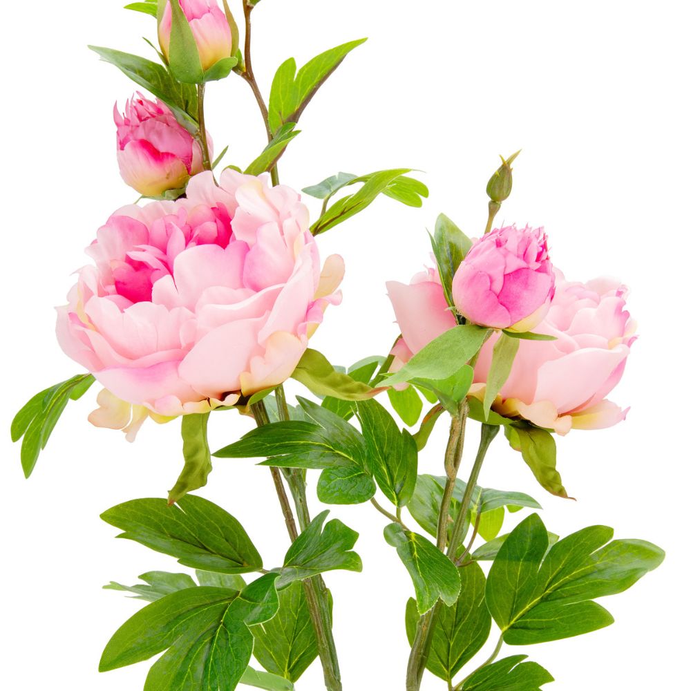 Eleganza Artificial 90cm Peony Spray with 5 Heads- Light Pink