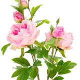 Eleganza Artificial 90cm Peony Spray with 5 Heads- Light Pink