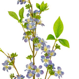 Eleganza Artificial Meadow Blossom- Blue