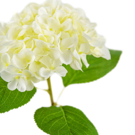 Eleganza Artificial Small Head Hydrangea- White