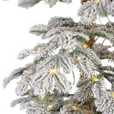 Everlands 1.8m (6ft) Snowy Alpine Fir Pre-Lit Christmas Tree