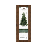 Everlands 2.4m (8ft) Geneva Fir Artificial Christmas Tree - 684303
