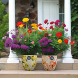 Ivyline 15cm Monza Abstract Floral Planter (Choice of 2)