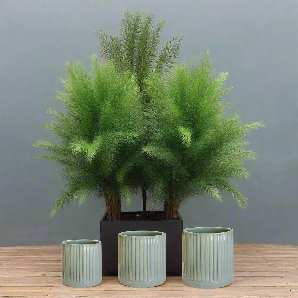 Ivyline 23cm Snowshill Sage Planter