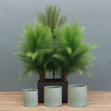 Ivyline 23cm Snowshill Sage Planter