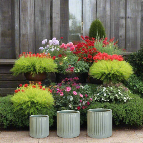 Ivyline 27cm Snowshill Sage Planter