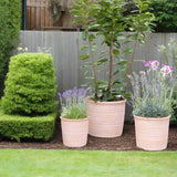 Ivyline 24cm Hillcrest Ripple Terracotta Planter