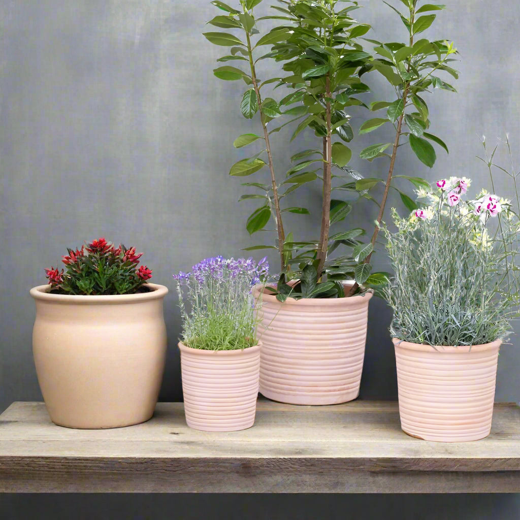 Ivyline 26cm Hillcrest Ripple Terracotta Planter