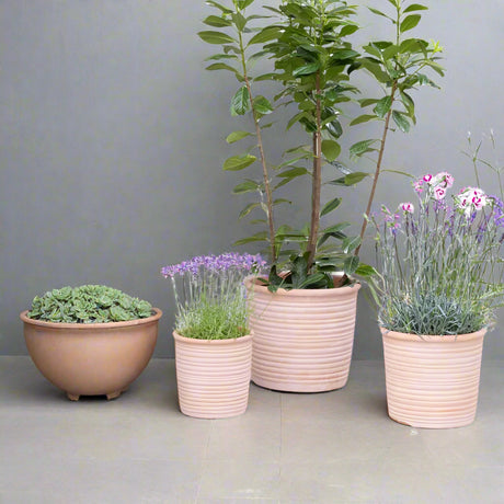 Ivyline 33cm Hillcrest Ripple Terracotta Planter