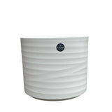 Ivyline 28.5cm Ivory Specimen Pot