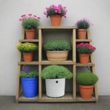 Ivyline 28.5cm Ivory Specimen Pot