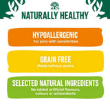 James Wellbeloved 90g Grain Free Senior Wet Dog Food in Gravy - Turkey