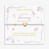 Joma Jewllery Birth Month A Little 'January' Bracelet in Silver and Gold Plating
