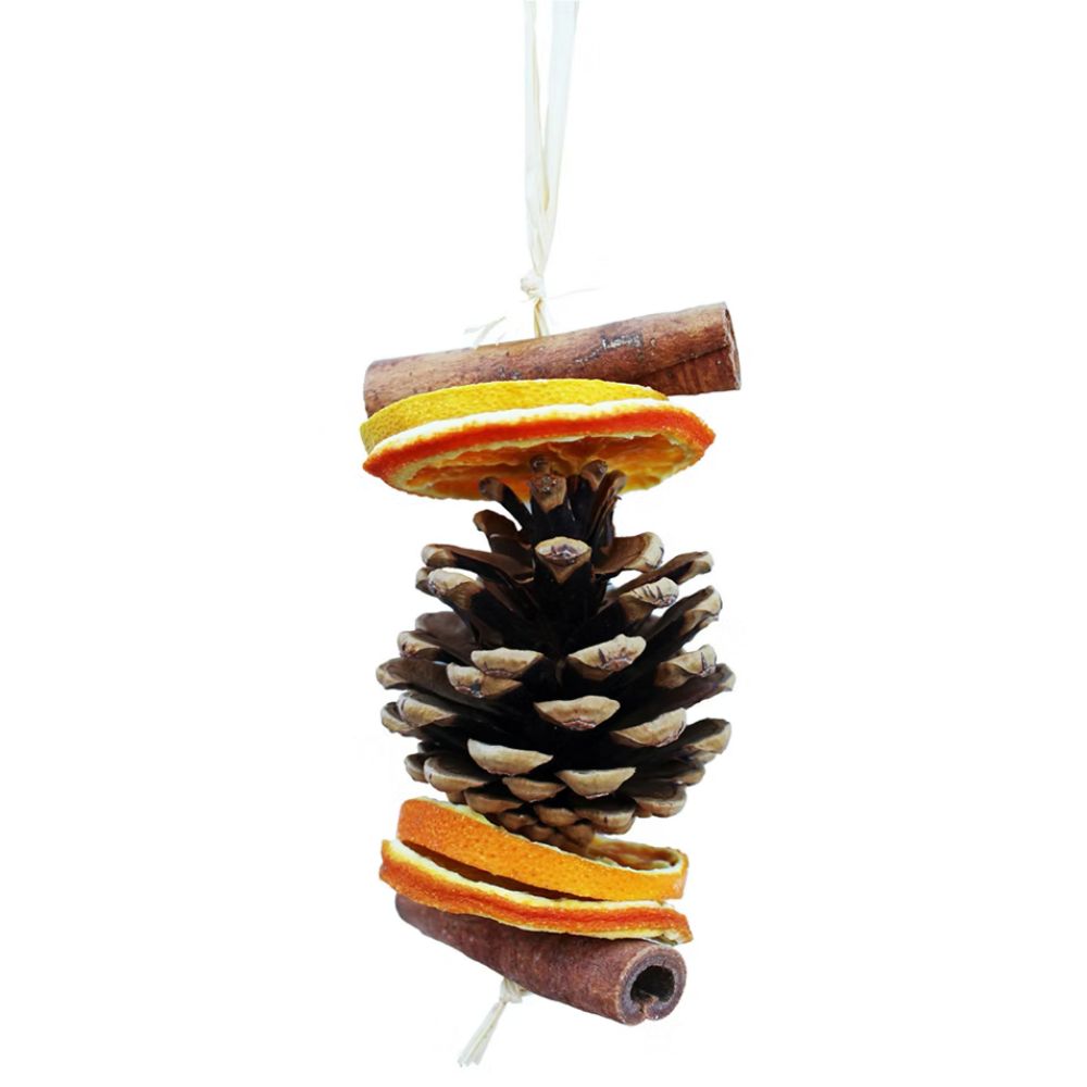 Jormaepourri Scented Natural Dried Orange Slice & Cone Tree Decoration