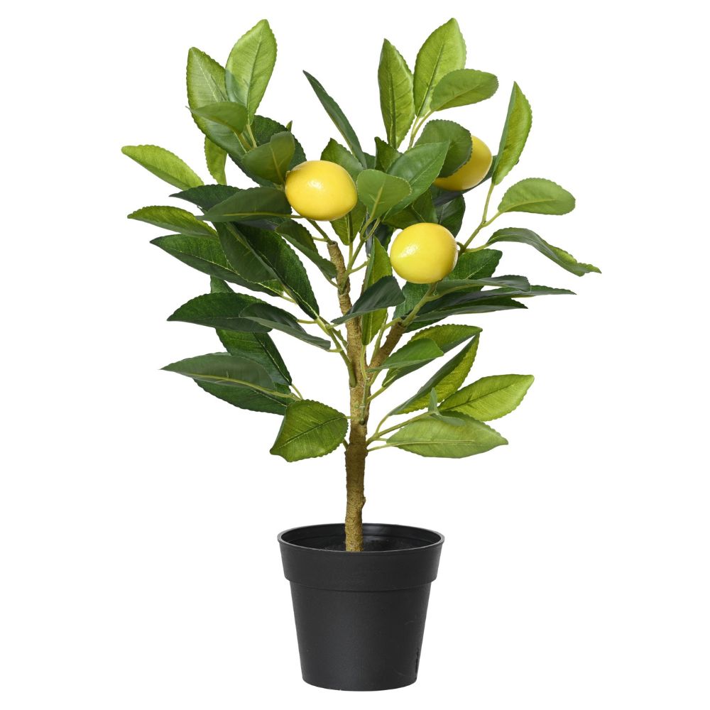 Kaemingk Artificial Lemon Tree With Hard Foam Lemons in Black Pot