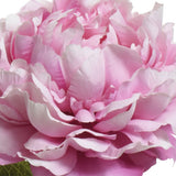 Kaemingk Artificial Polyester Peony Stem - Pink