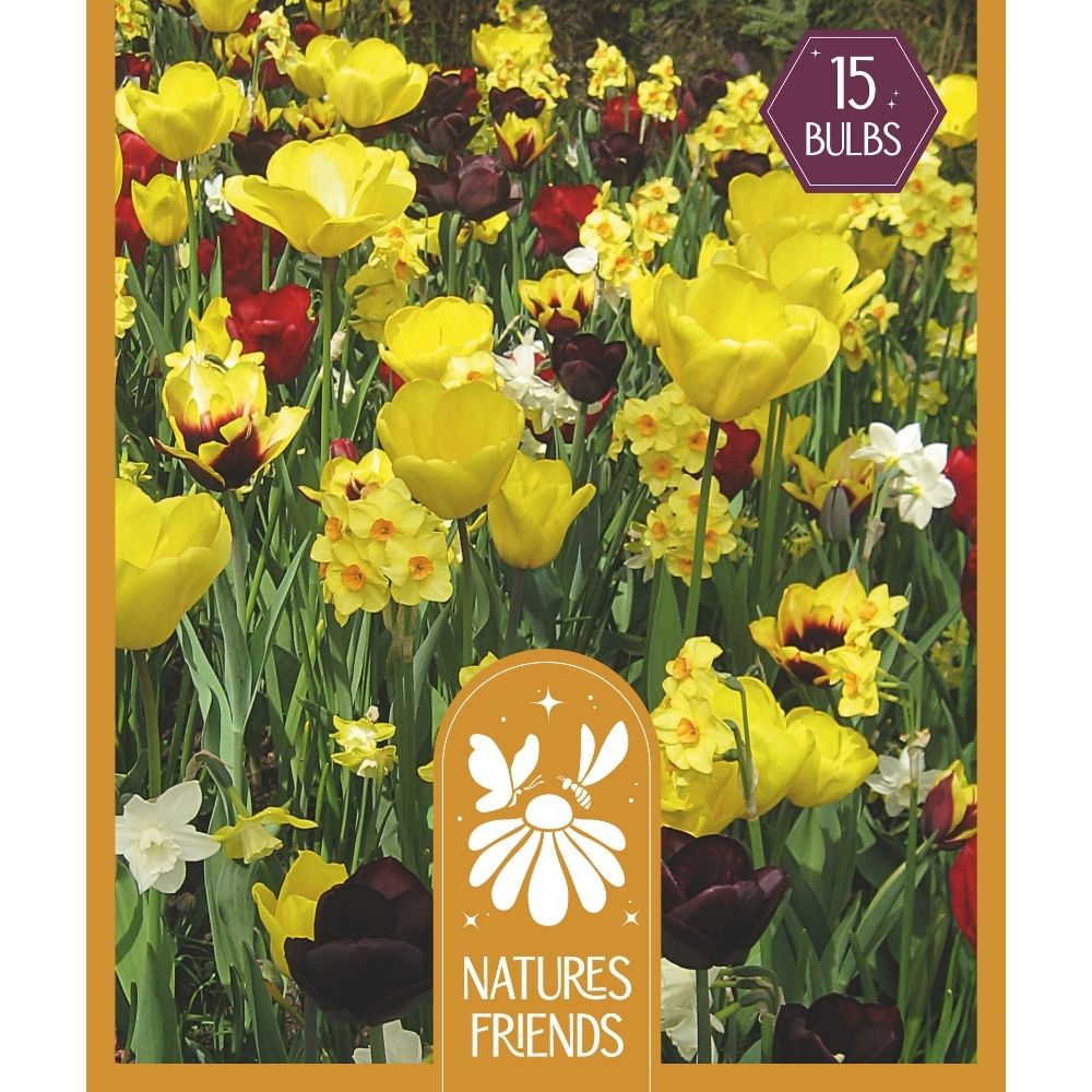 Kapiteyn 15 Natures Friends Yellow & Maroon Shades Mixed Bulbs