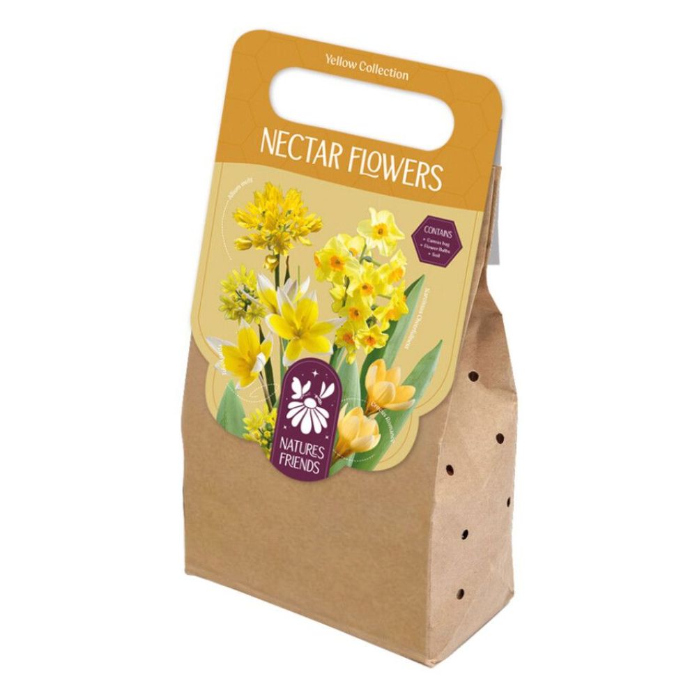 Kapiteyn Necture Flower Mixed Bulbs - Yellow Collection