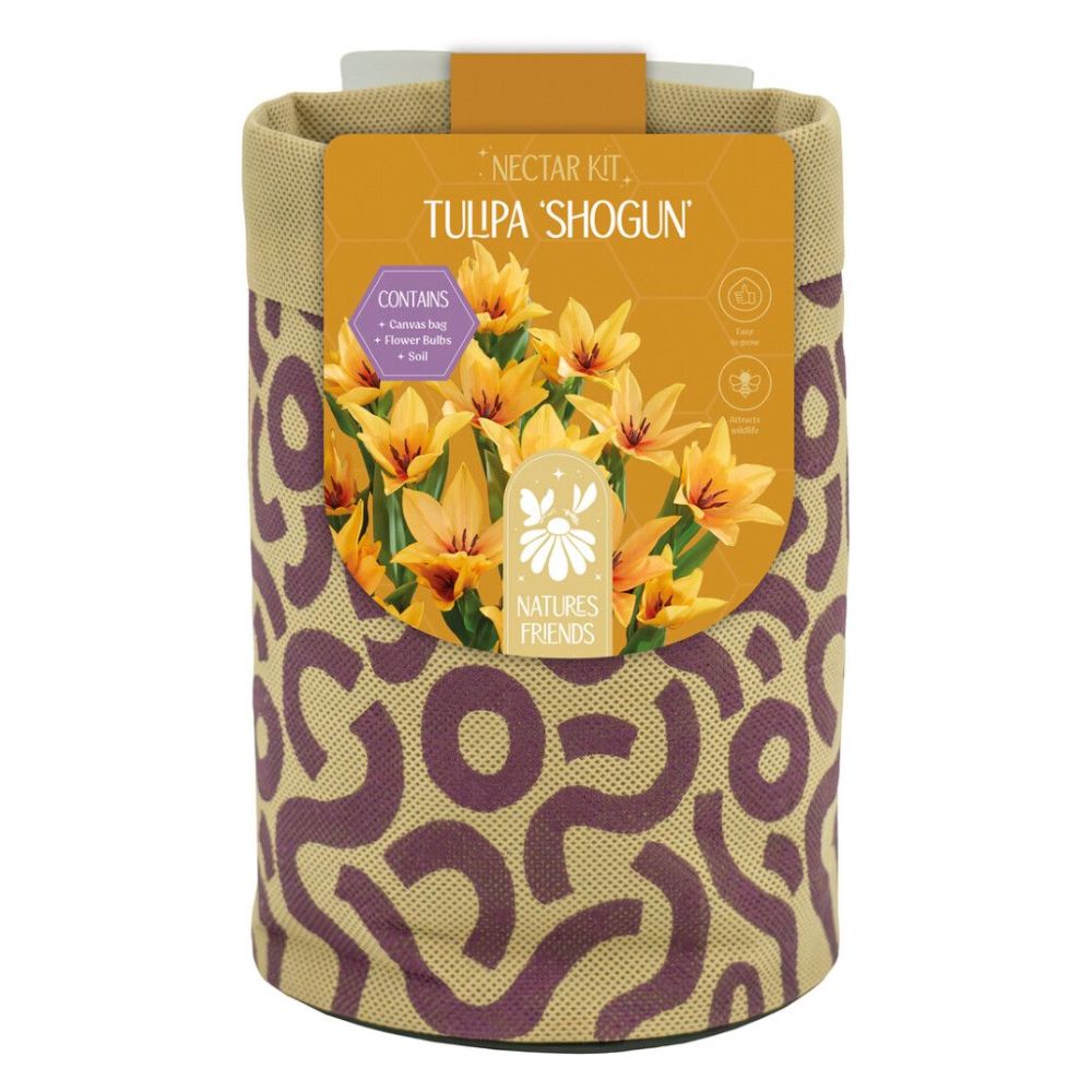 Kapiteyn Tulip Shogun Canvas Large Gift Bulb Kit