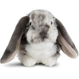 Living Nature 26cm Grey Dutch Lop Ear Rabbit Soft Toy