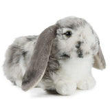 Living Nature 26cm Grey Dutch Lop Ear Rabbit Soft Toy