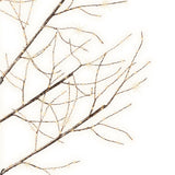 Lumineo 1.8m (6ft) Warm White Micro LED Brown Twig Tree - 541079