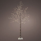 Lumineo 1.8m (6ft) Warm White Micro LED Brown Twig Tree - 541079
