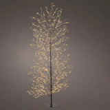 Lumineo 180cm Classic Warm Micro LED Tree - Black Frame - 505328