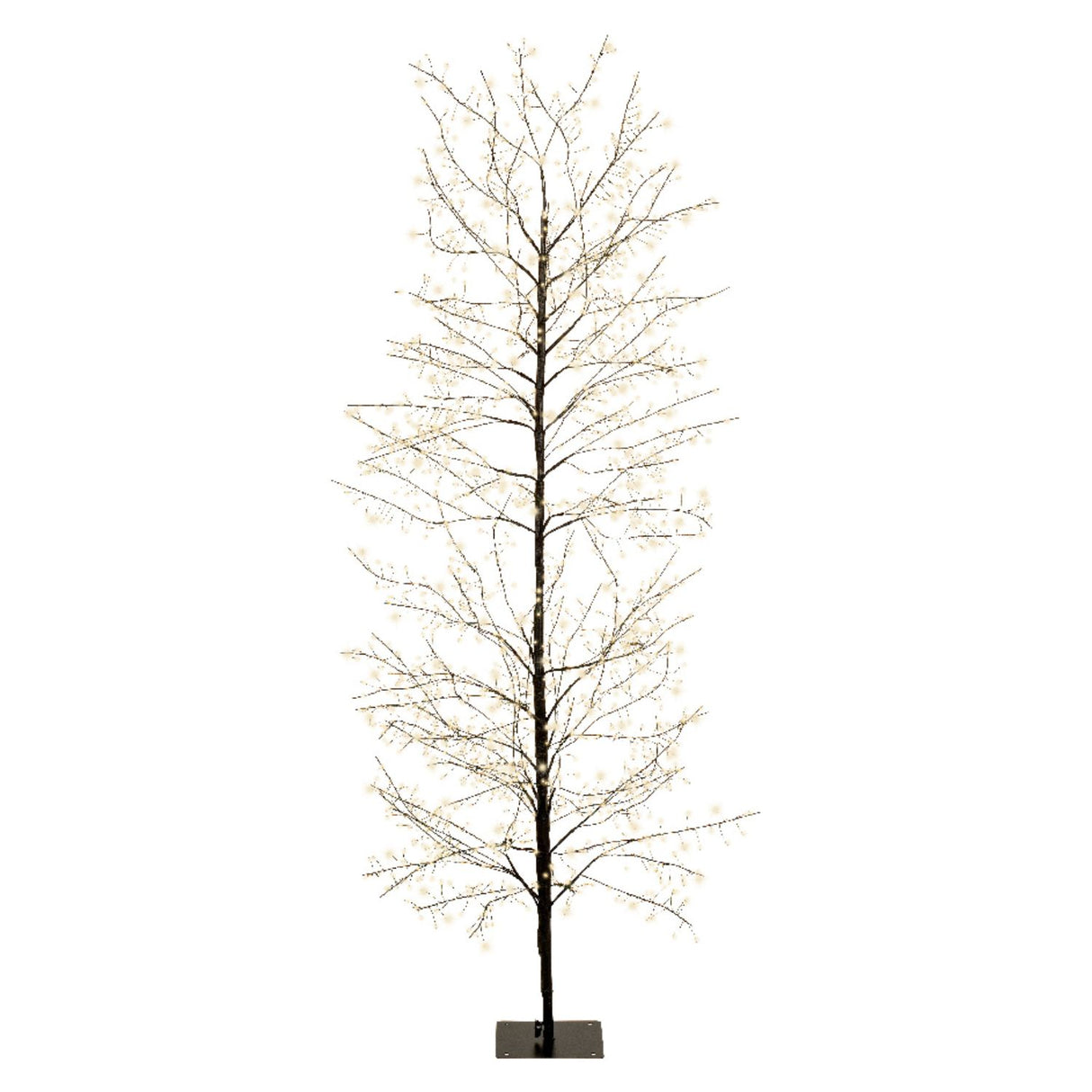 Lumineo 180cm Warm White Micro LED Black Twig Tree - 500646