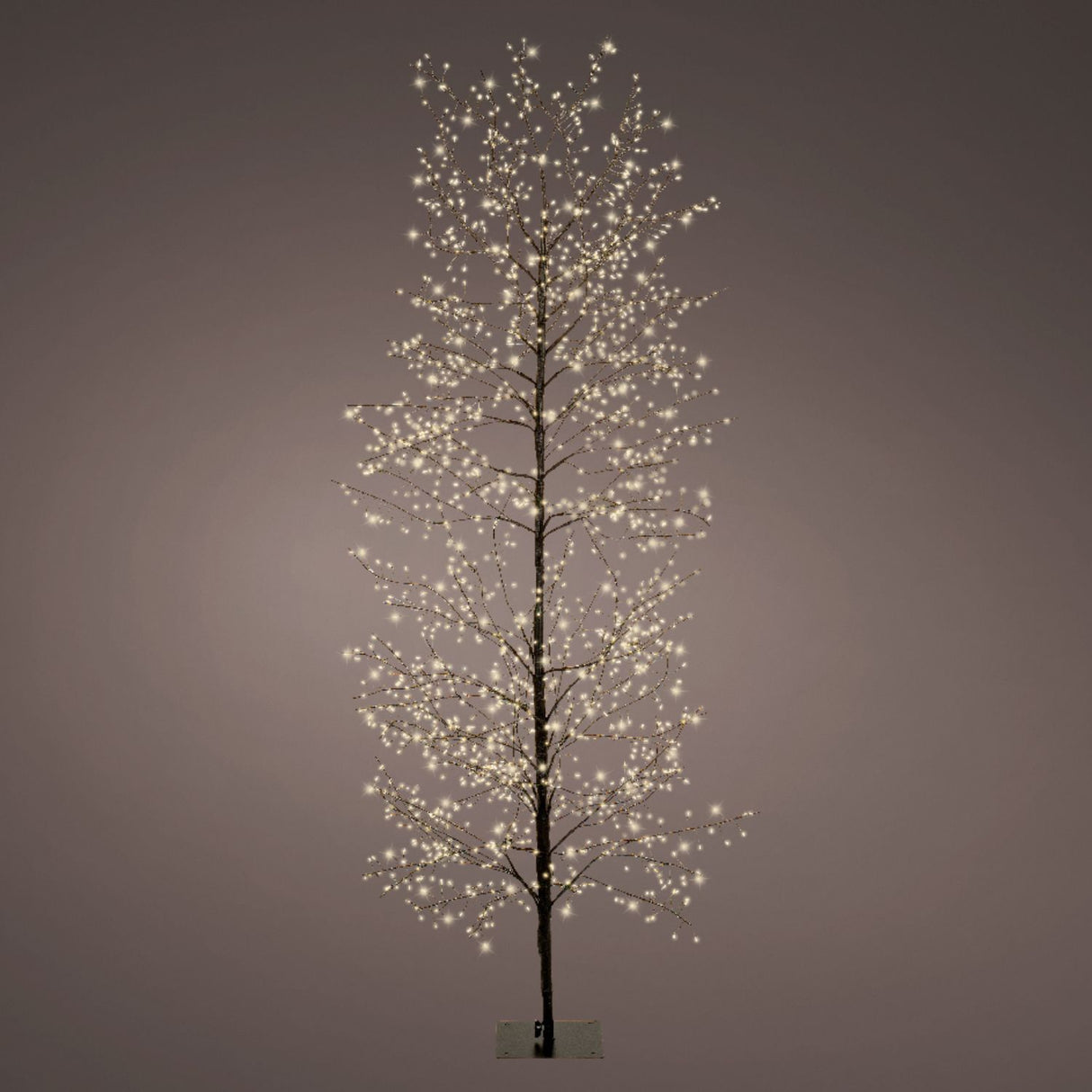 Lumineo 180cm Warm White Micro LED Black Twig Tree - 500646