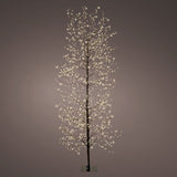 Lumineo 180cm Warm White Micro LED Black Twig Tree - 500646