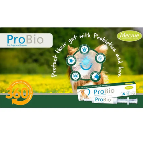 Mervue 30ml Wholesale ProBio Paste for Dogs & Puppies