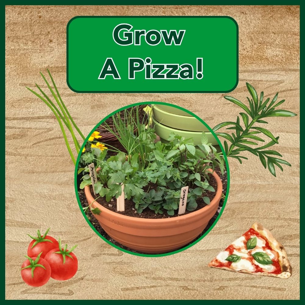 Little Oaks Grow a Pizza Workshop
