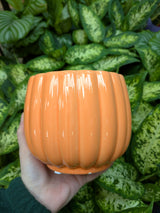 Mica Decorations Colourful Carna Round L. Pot (Choice of 4) - 1174012