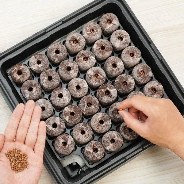 Fothergils 35 Plantable Pellets Self-Watering Mini Greenhouse