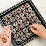 Fothergils 35 Plantable Pellets Self-Watering Mini Greenhouse