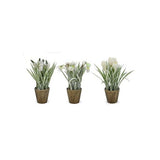 Premier 25cm Snow Dusted Potted Christmas Flower (Choice of 3)