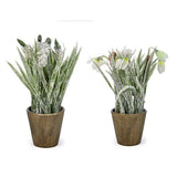 Premier 25cm Snow Dusted Potted Christmas Flower (Choice of 3)
